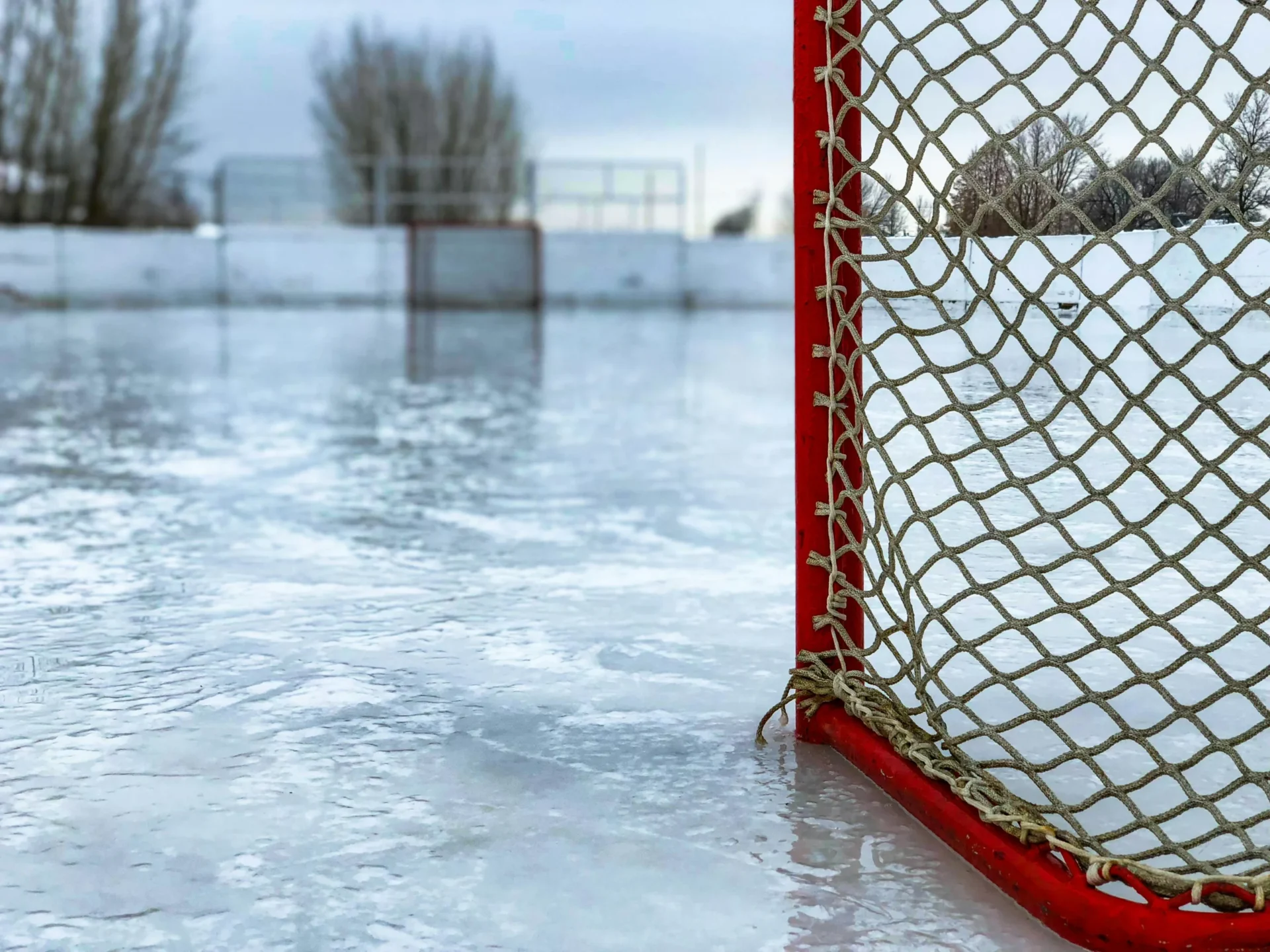 Why shoot at empty hockey nets when you can aim at hockey shooting targets?